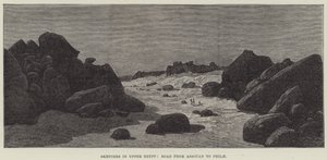 Schizzi nell